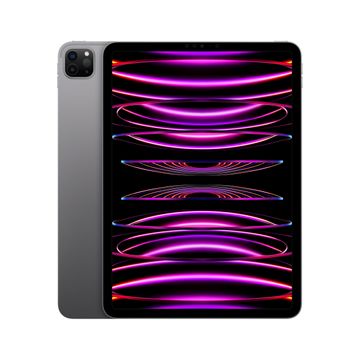 Apple iPad Pro 11" 1TB WiFi M2 Chip - Space Grey image 1