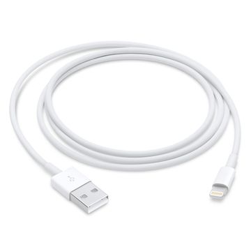 Apple Lightning to USB Cable (1m) image 1