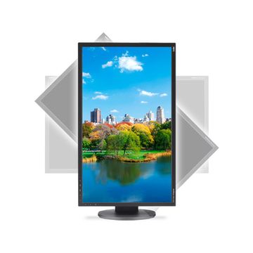 NEC 22" MultiSync EA223WM Widescreen LED Display - Black image 2